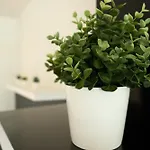 Balcobo Villas&cabanas 아파트호텔 4*