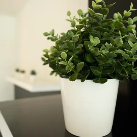 Balcobo Villas&cabañas Apartahotel 4*