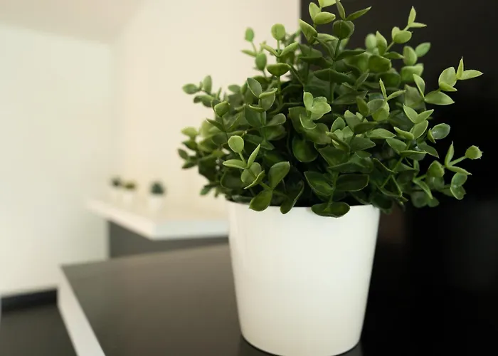 Balcobo Villas&cabanas アパートホテル 4*